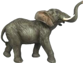 Elephant Product