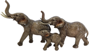 Elephant Product