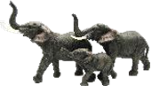 Elephant Product