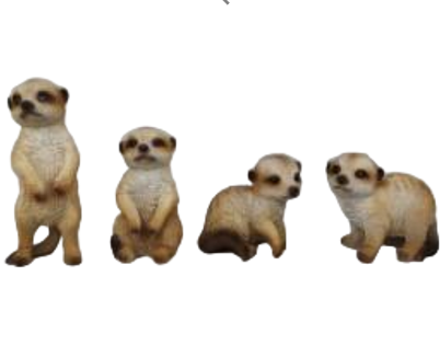 Meerkat Product