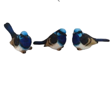 Bird Product