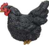 Chicken Product