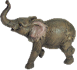 Elephant Product