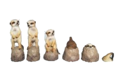 Meerkat Product