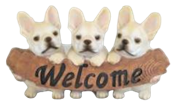 Dog Product