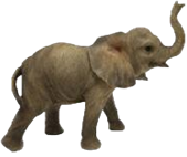 Elephant Product