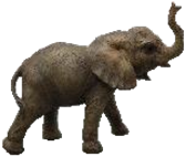Elephant Product