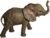 Elephant Product