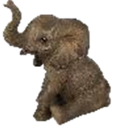 Elephant Product