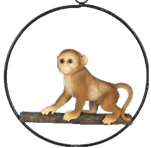 Monkey Product