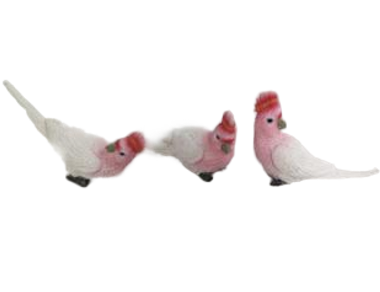 Bird Product