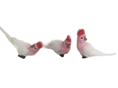 Bird Product