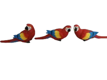 Bird Product