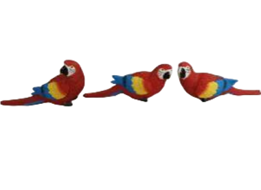 Bird Product