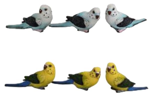 Bird Product