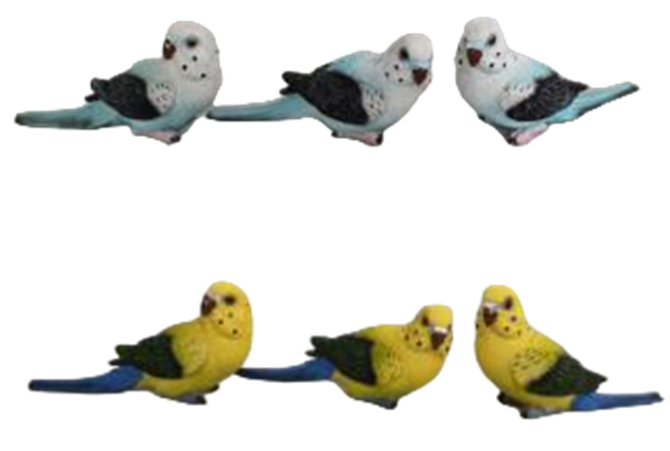 Bird Product