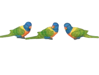 Bird Product
