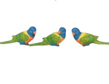 Bird Product