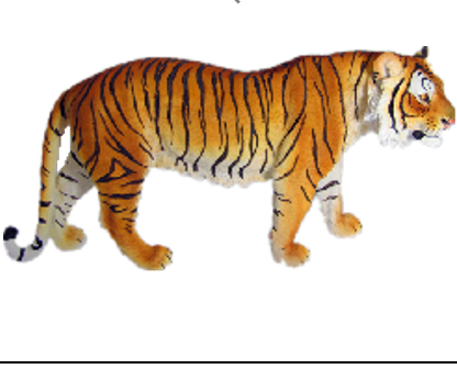 Tiger Product