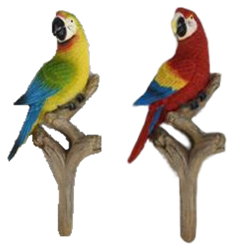 Bird Product