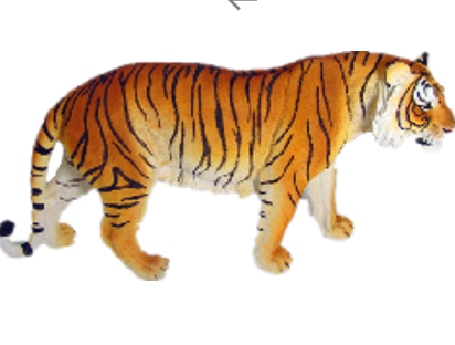Tiger Product