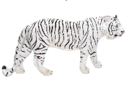 Tiger Product