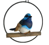 Bird Product