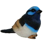 Bird Product