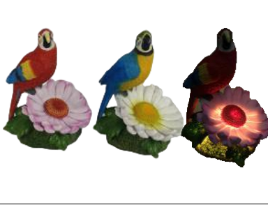 Bird Product