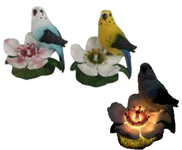 Bird Product