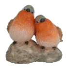 Bird Product