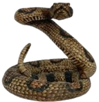 Cobra Product