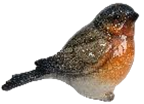 Bird Product
