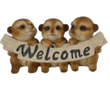 Meerkat Product