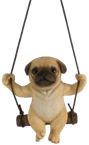 Dog Product