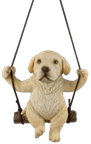 Dog Product