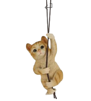 Cat Product
