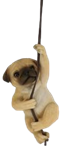 Dog Product