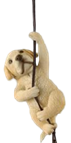 Dog Product