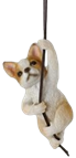 Dog Product