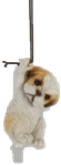 Dog Product