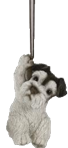 Dog Product