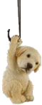 Dog Product