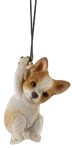 Dog Product