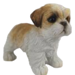 Dog Product
