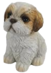 Dog Product