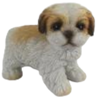 Dog Product