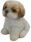 Dog Product