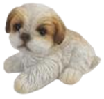 Dog Product
