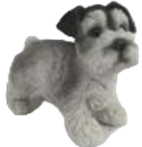 Dog Product